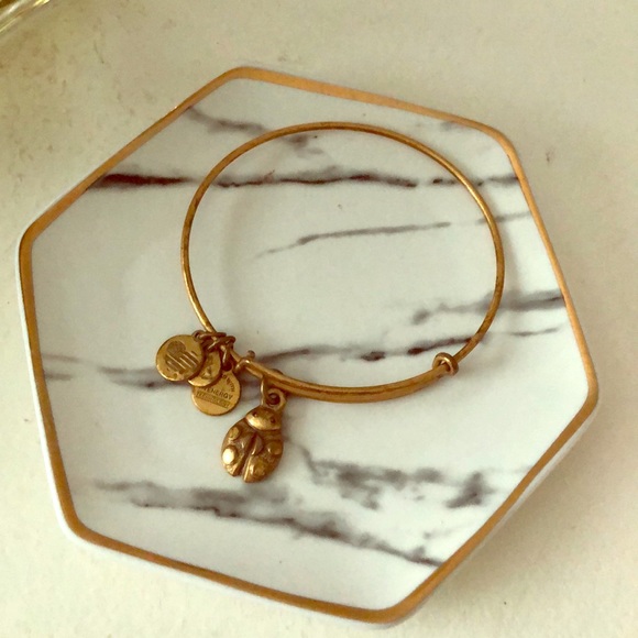 Alex and Ani Jewelry - 🌸🌸Alex and Ani lady bug lucky bangle